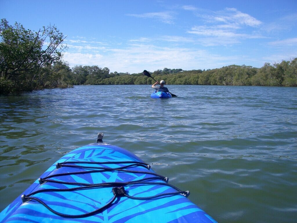 Kayaking Currumbin Creek