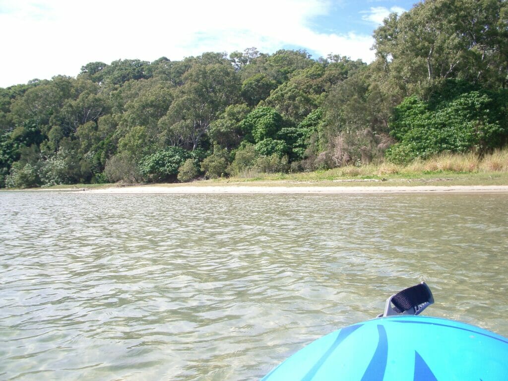 Kayaking Currumbin Creek