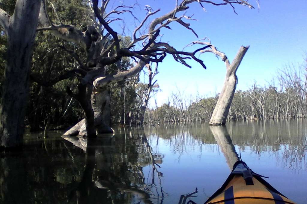 Kayaking on the Murrumbidgee River in the AdvancedFrame Sport Kayak