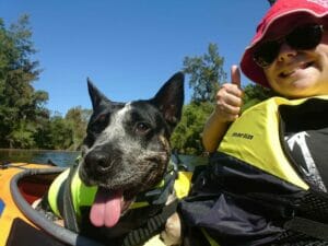 kayaking on the nepean river near camden holly