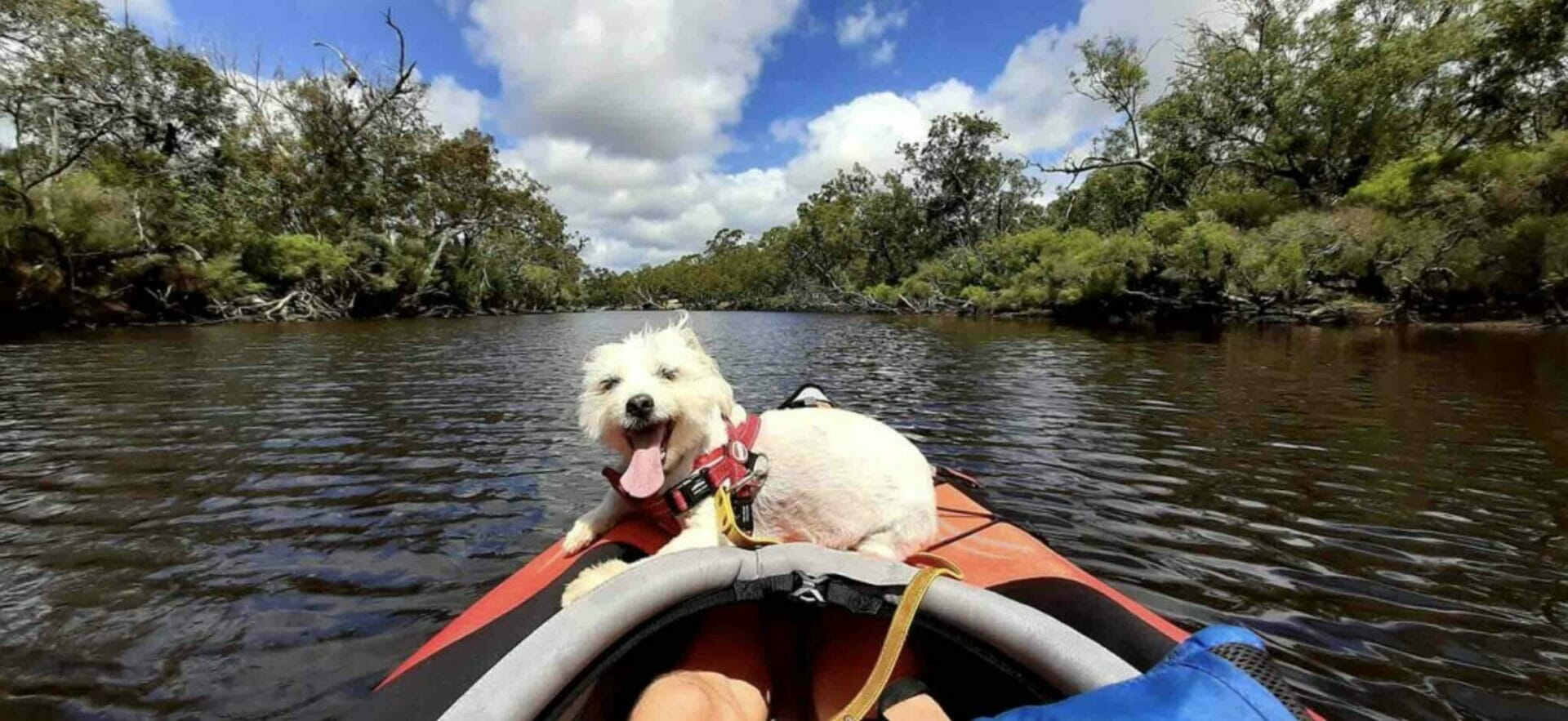 advancedframe kayak with dog