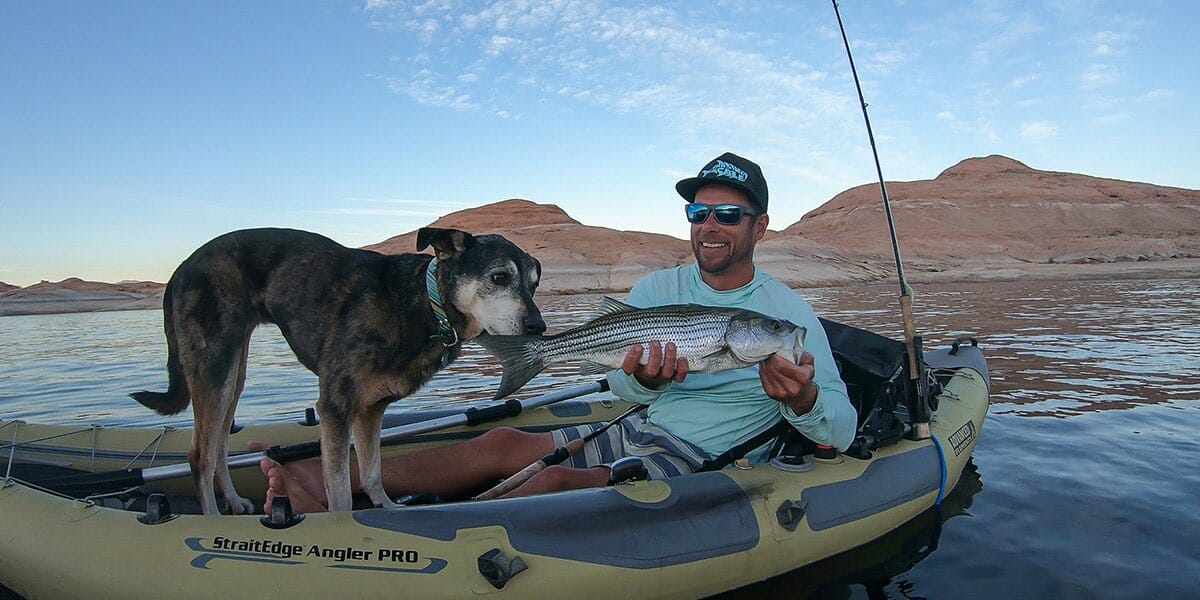 straitedge angler pro kayak dog